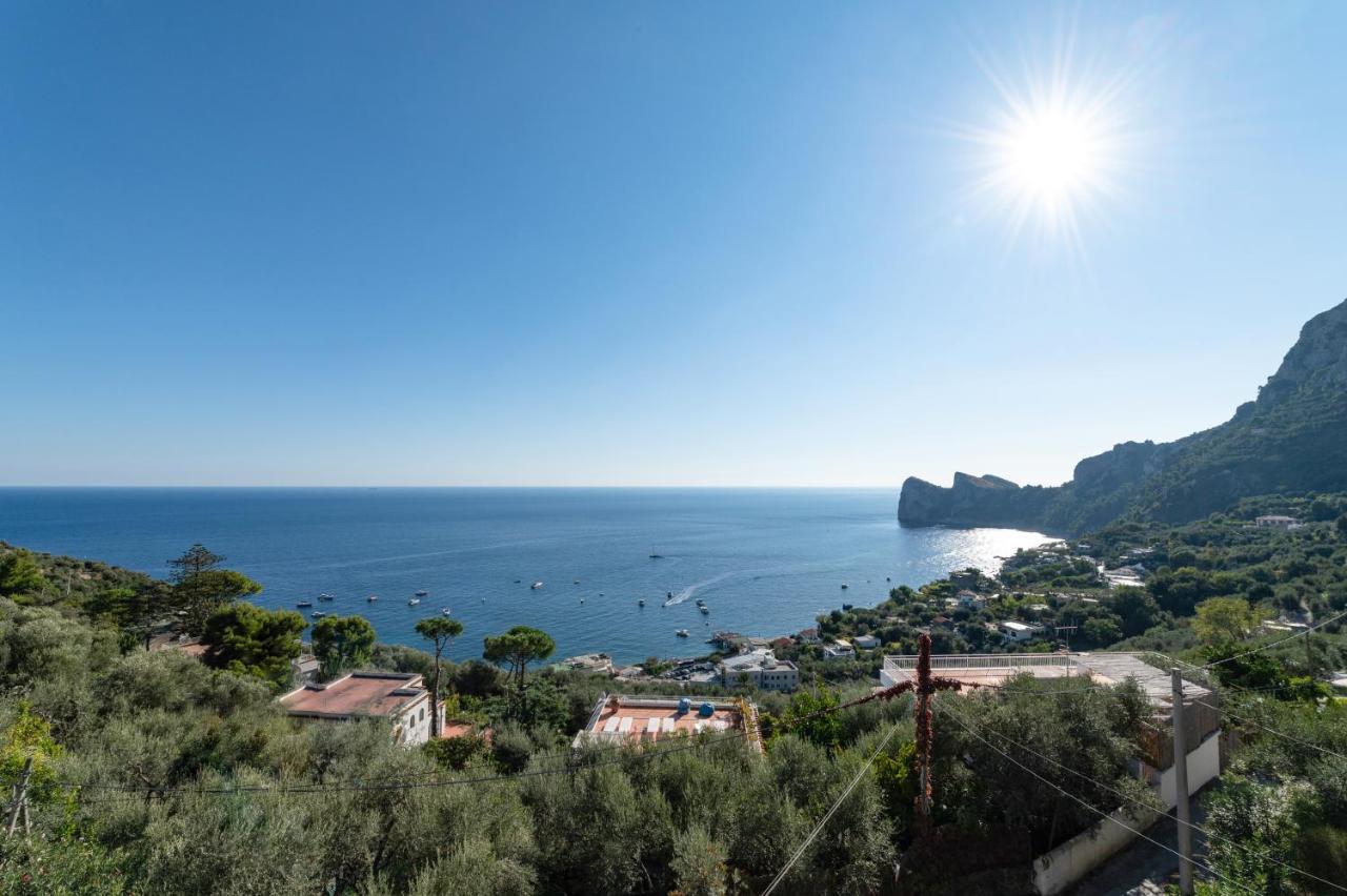 Main Roof Terrace Apartment Nerano Luaran gambar
